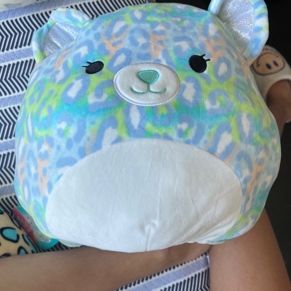 Lindsey & Chase “12 Squishmallow Flip